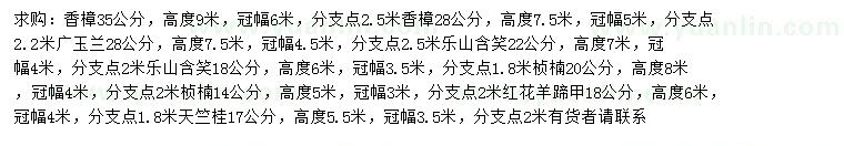 求購香樟、廣玉蘭、樂昌含笑等