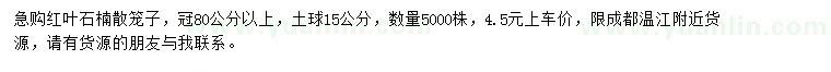 求購冠80公分以上紅葉石楠散籠子