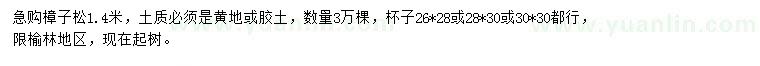 求購1.4米樟子松