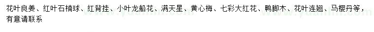 求購(gòu)花葉良姜、紅葉石楠球、紅背掛等