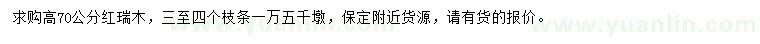 求購(gòu)高70公分紅瑞木