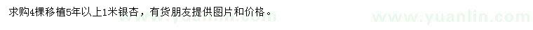 求購(gòu)1米銀杏