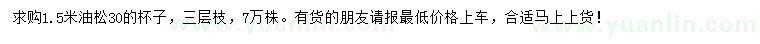 求購1.5米油松