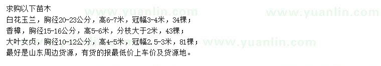 求購白玉蘭、香樟、大葉女貞