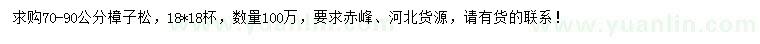 求購70-90公分樟子松