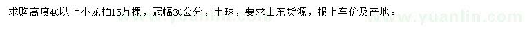 求購高40公分以上小龍柏