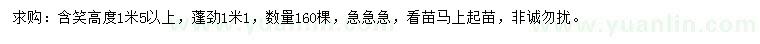 求購(gòu)高1.5米以上含笑