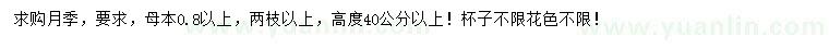 求購高度40公分以上月季
