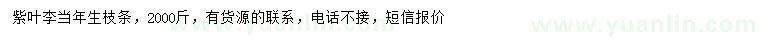 求購紫葉李當年生枝條