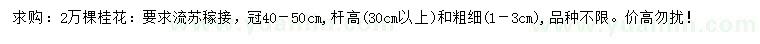 求購冠40-50公分桂花