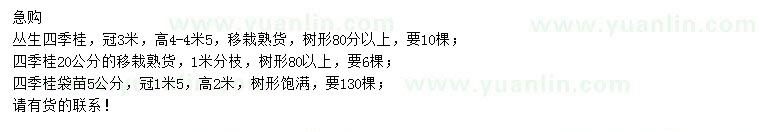 求購冠3米叢生四季桂、5、20公分四季桂