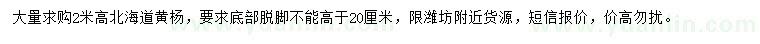 求購高2米北海道黃楊