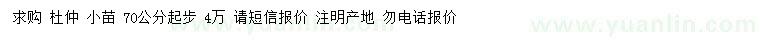 求購(gòu)70公分以上杜仲小苗