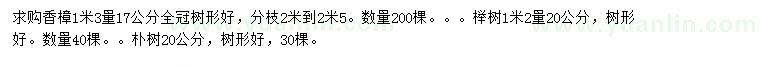 求購(gòu)香樟、櫸樹(shù)、樸樹(shù)