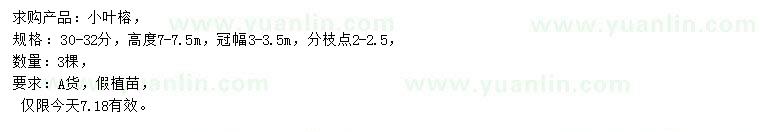 求購30-32公分小葉榕