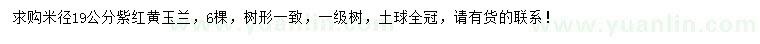 求購(gòu)米徑19公分紫紅黃玉蘭