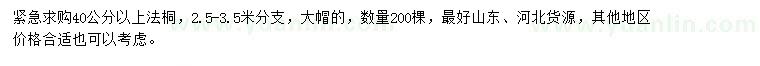 求購40公分以上法桐
