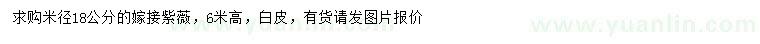 求購(gòu)米徑18公分嫁接紫薇