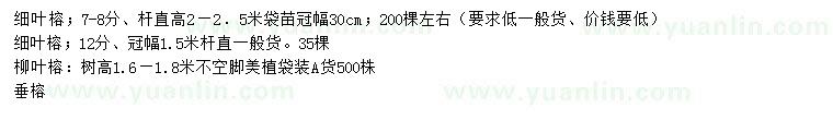 求購(gòu)細(xì)葉榕、柳葉榕、垂榕等