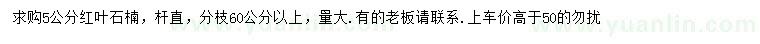 求購5公分紅葉石楠