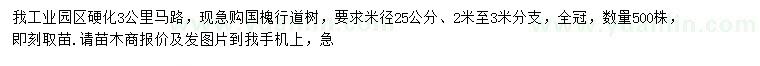 求購米徑25公分國槐