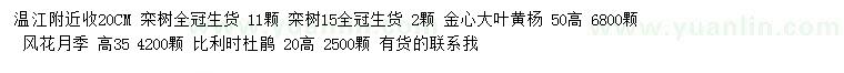 求購欒樹、金心大葉黃楊、風(fēng)花月季等
