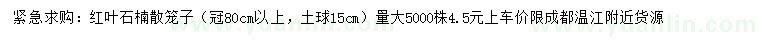 求購(gòu)冠80公分以上紅葉石楠散籠子