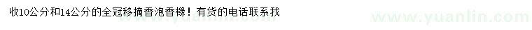 求購10、14公分移摘香泡、香櫞