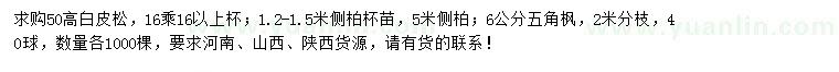 求購白皮松、側(cè)柏、五角楓