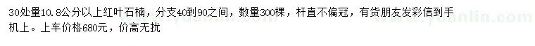 求購30處量10.8公分紅葉石楠