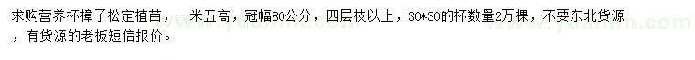 求購高1.5米樟子松