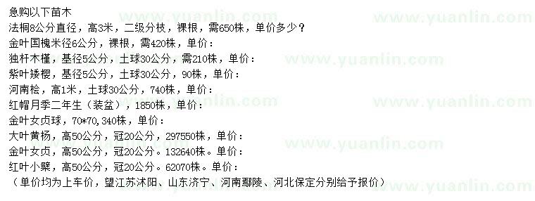 求購法桐、金葉國槐、木槿等