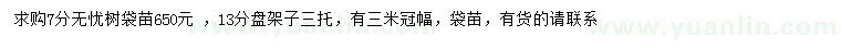 求購7公分無(wú)憂(yōu)樹(shù)、13公分盆架子