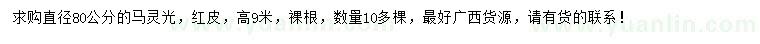 求購直徑80公分馬靈光