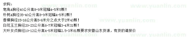 求購皂角、樸樹、香樟等