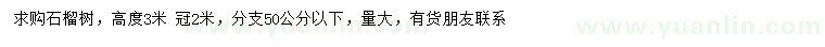 求購高3米石榴樹