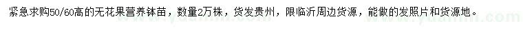 求購50-60公分高無花果