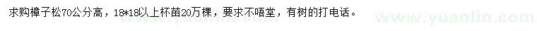 求購70公分高樟子松