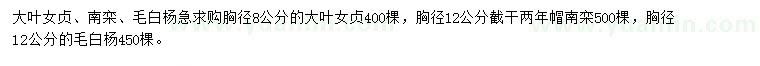 求購大葉女貞、南欒、毛白楊