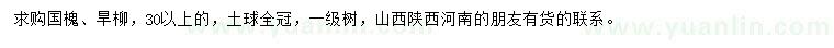 求購(gòu)30公分以上國(guó)槐、旱柳