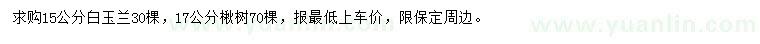 求購(gòu)15公分白玉蘭、17公分楸樹(shù)
