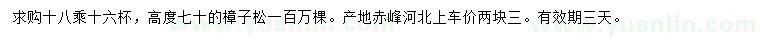求購高度70公分樟子松