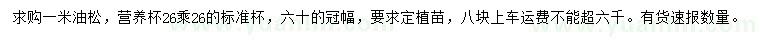 求購1米油松