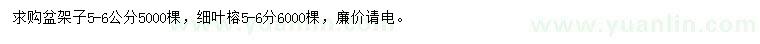 求購5-6公分盆架子、細(xì)葉榕