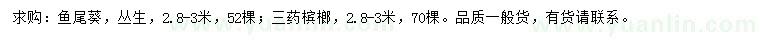 求購(gòu)2.8-3米魚(yú)尾葵、三藥檳榔