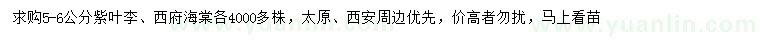 求購(gòu)5-6公分紫葉李、西府海棠