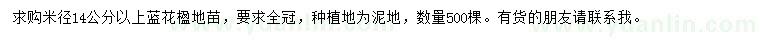 求購米徑14公分以上藍(lán)花楹