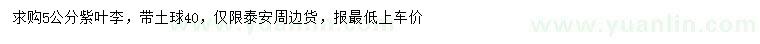 求購5公分紫葉李