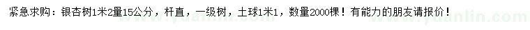 求購1米2量15公分銀杏樹