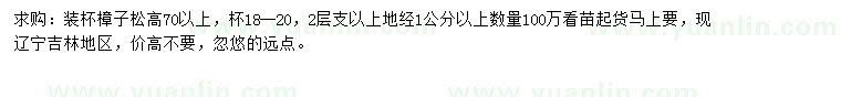 求購高70公分以上樟子松